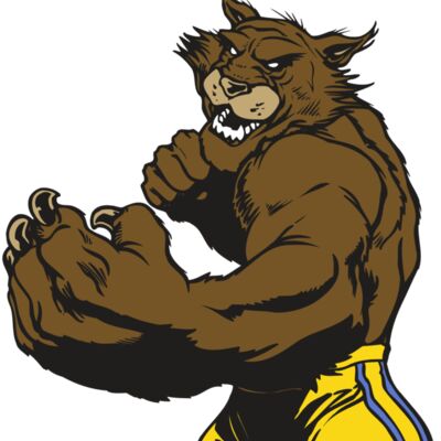 AR WILDCAT 48 RC Thumbnail