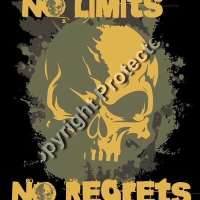 No Limits No Regrets Skull Thumbnail