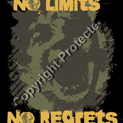 No Limits No Regrets Thumbnail